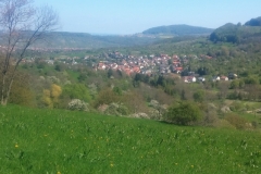 20160505_113223