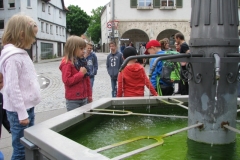 IMG_2990